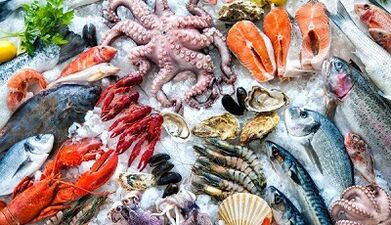 Sea fruits to increase potency in men