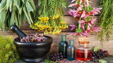 Folk remedies to increase potency