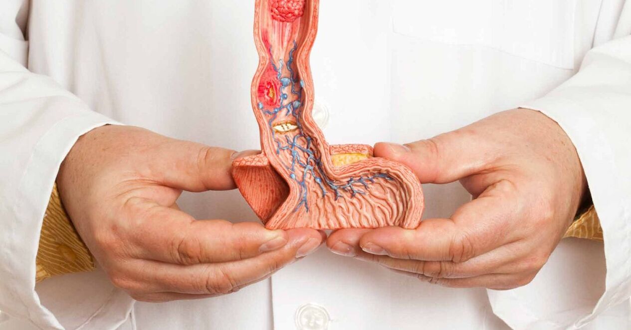 Penis structure